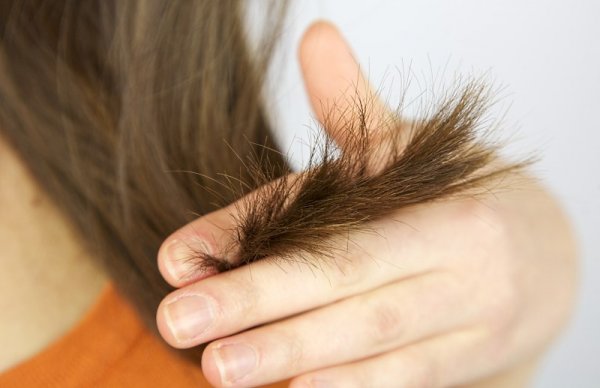 Як вилікувати сухі кінчики волосся в домашніх умовах