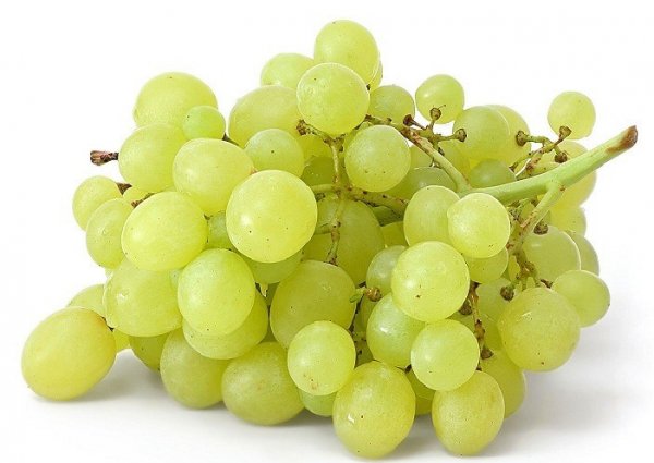 Сонячно-зелені ягоди білого винограду - користь і особливості вживання