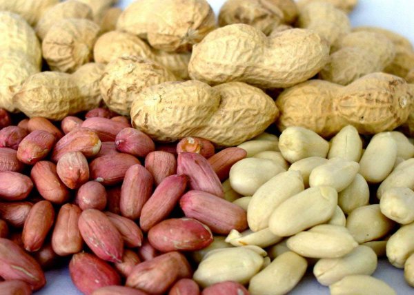 Що відомо про користь смаженого арахісу