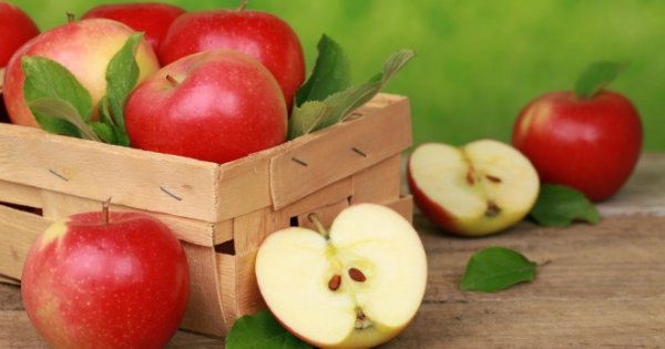 Як зберегти яблука тривалий час: обернути в папір або пересипати піском із золою? Чому не можна зберігати яблука поряд з картоплею