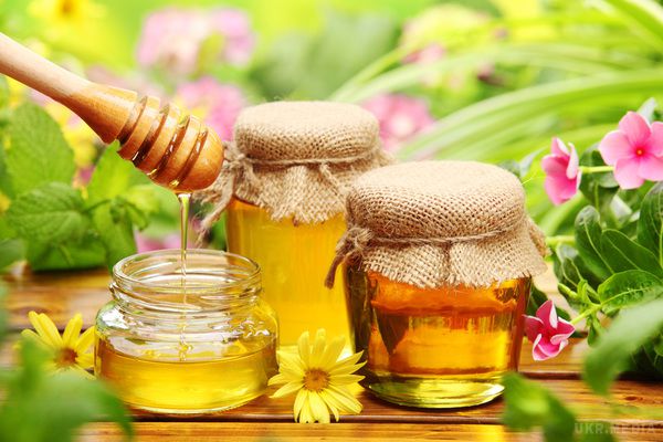 Користь меду для організму