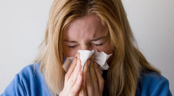 Алергія на домашній пил: як з цим жити і що робити